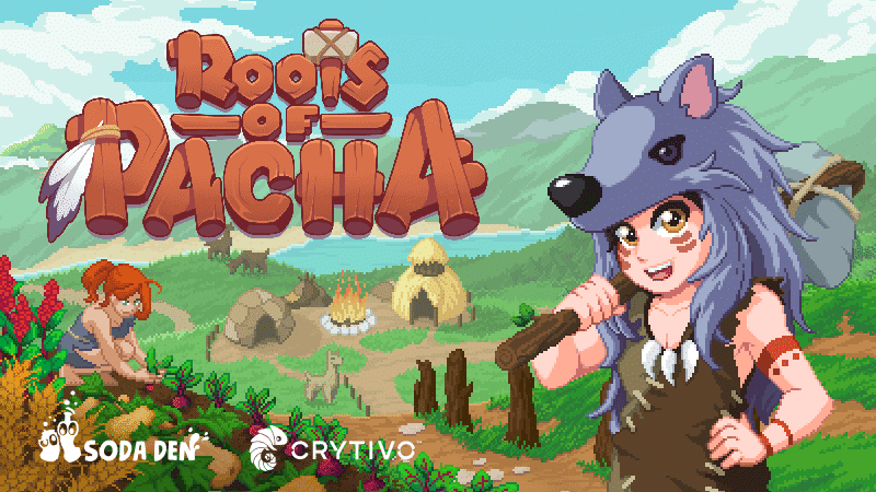 roots of pacha review
