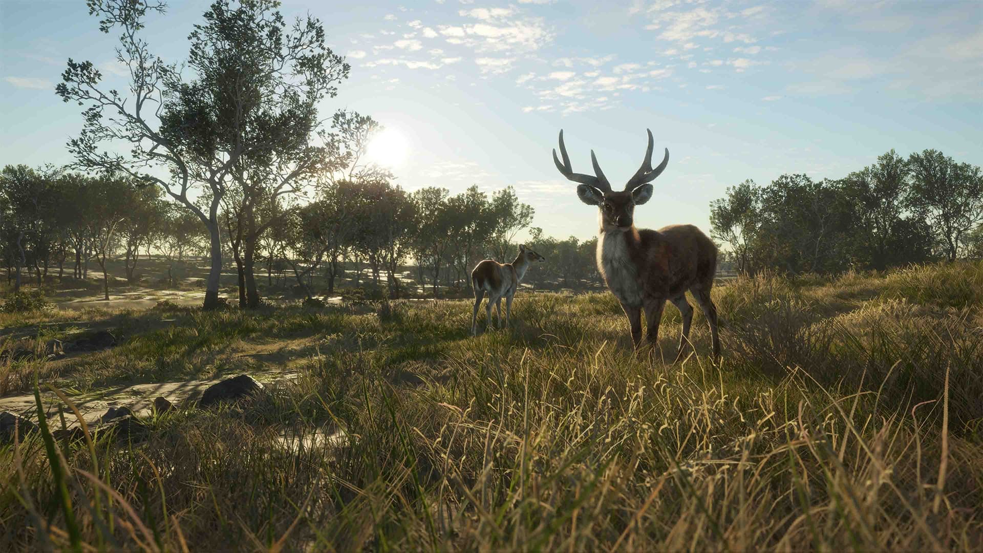 theHunter: Call of the Wild – Expansive Worlds announces a brand new Australian hunting region